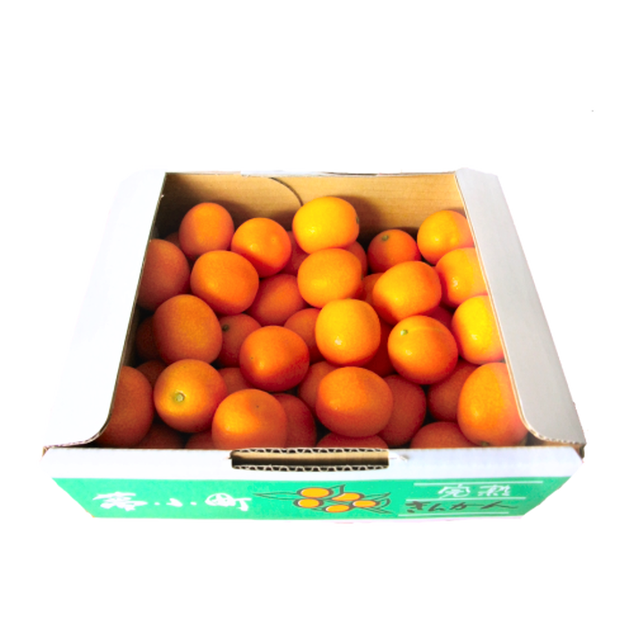 5c6caf0baee1bb0a97d61b6b
