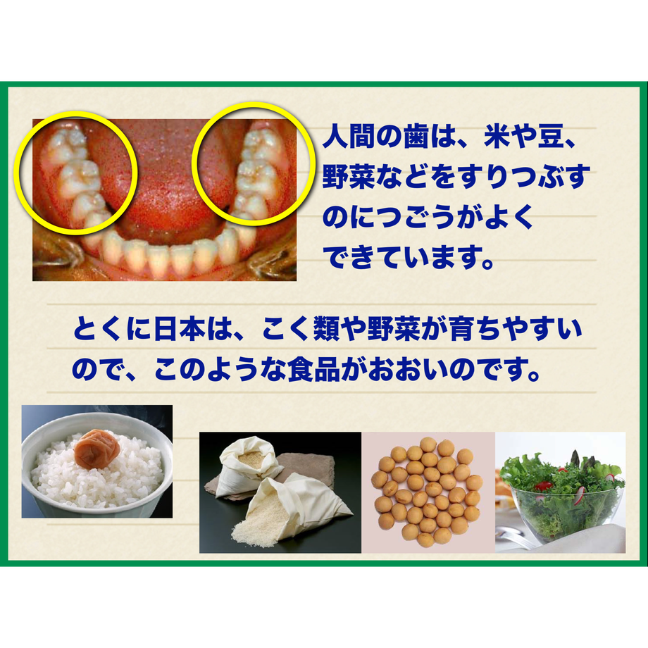 5d294e1a4c8064719f1fb98a