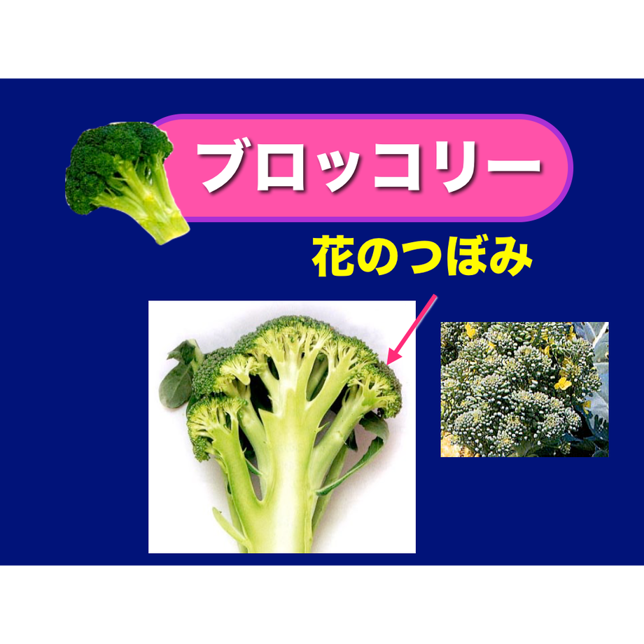 5d2eda718e691954aae49c87