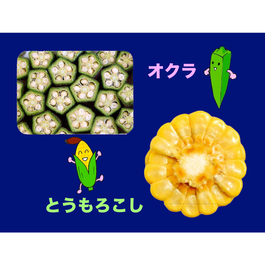 5d2eda718e691954aae49c87