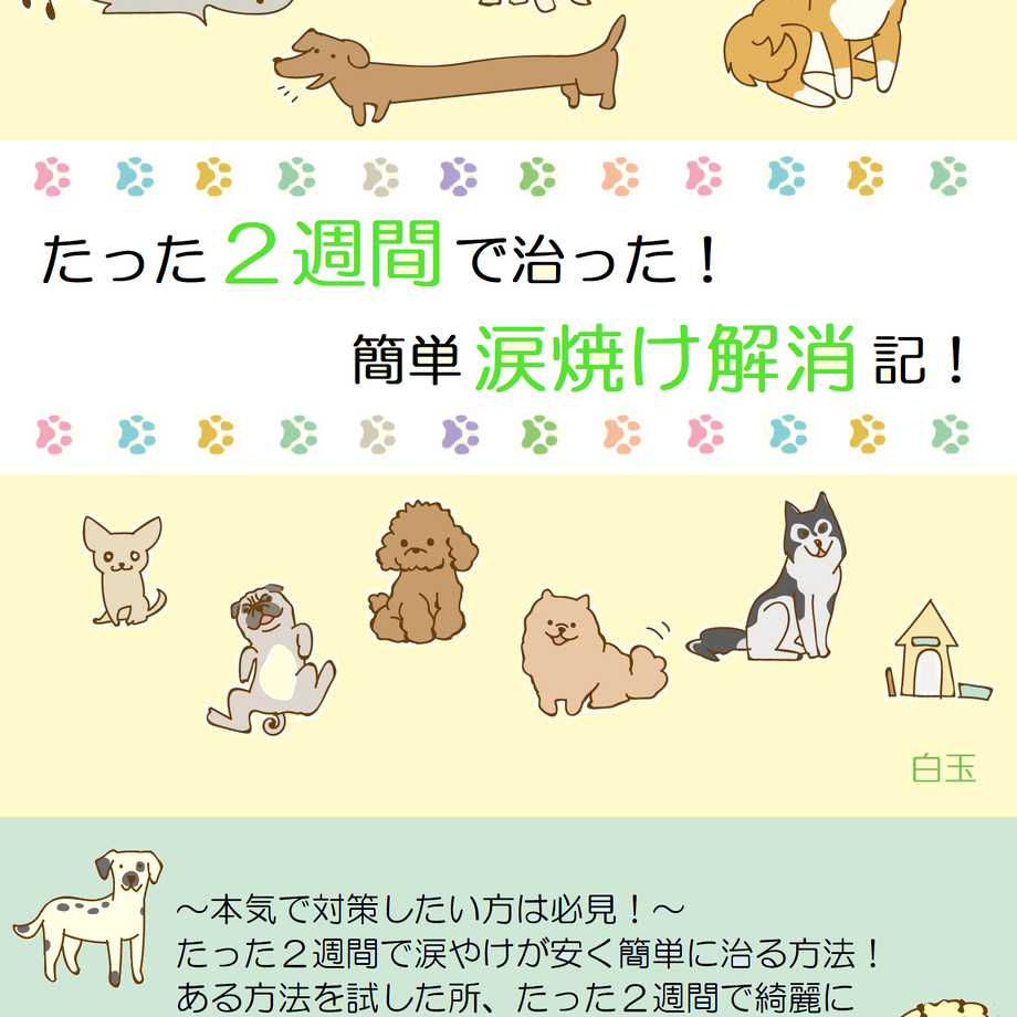 55d8695fef3377cb1e00732e