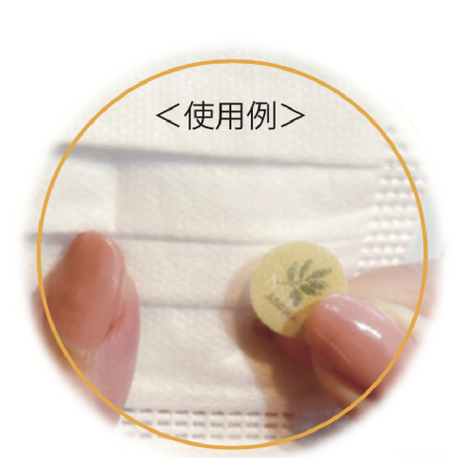 5ff92bdf8a4572236a6a3e49