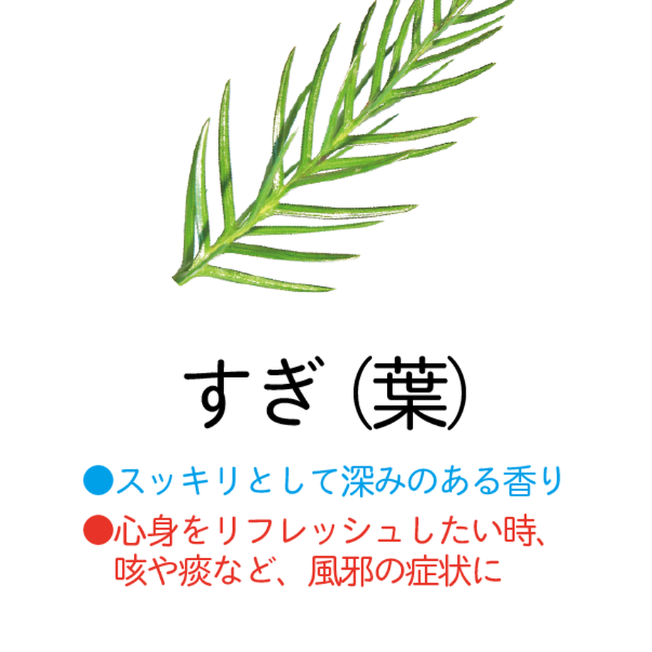 5f17d559d3f167167e23b85d