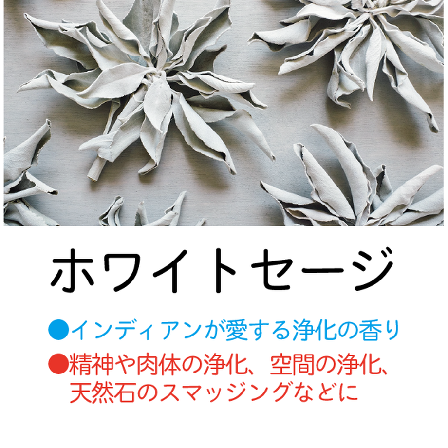 5f17a9e7791d0231fc387bcd