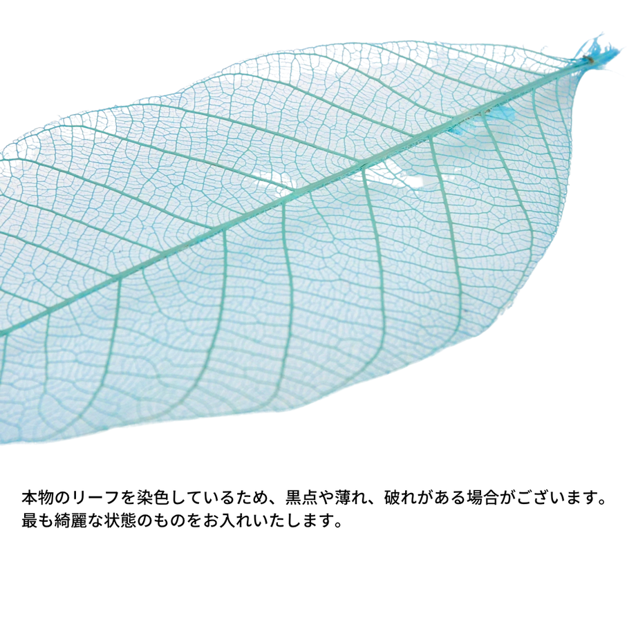 617fc1e272eb463b2c0561d9