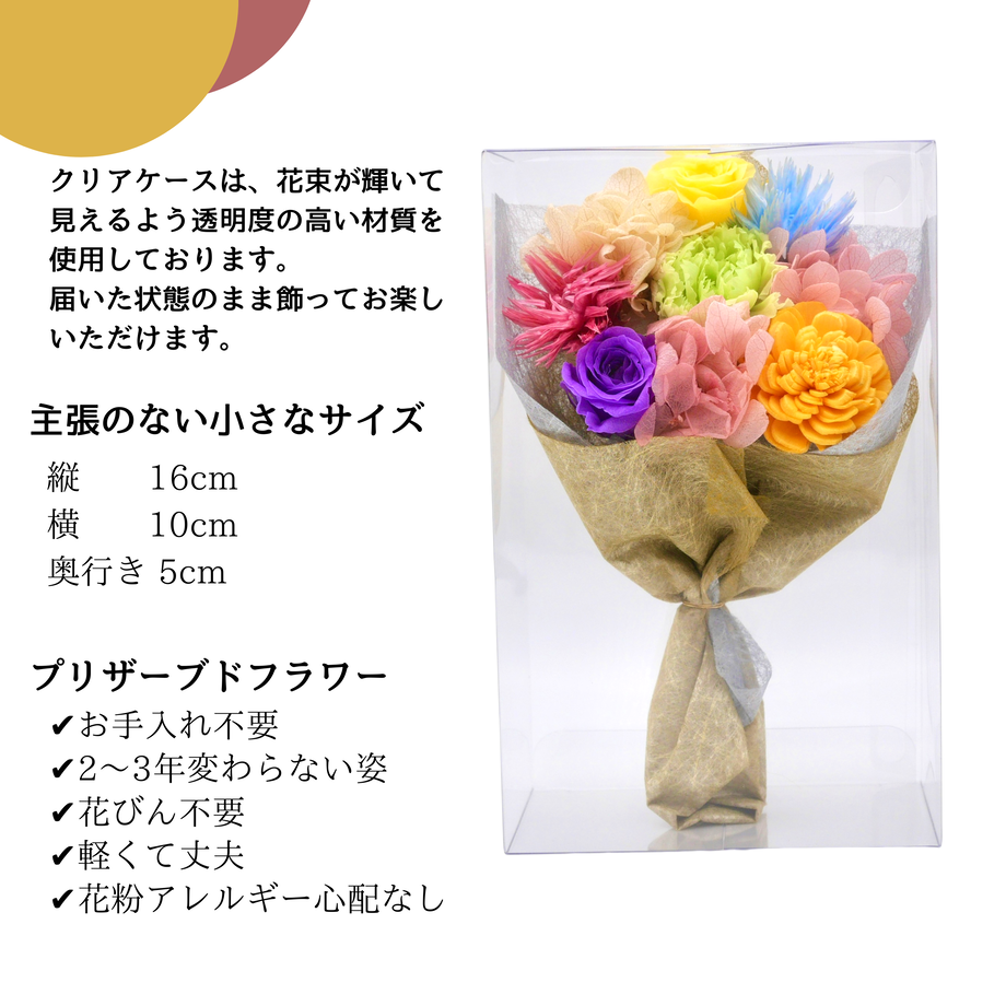 62a062bfc359a87033be4faf