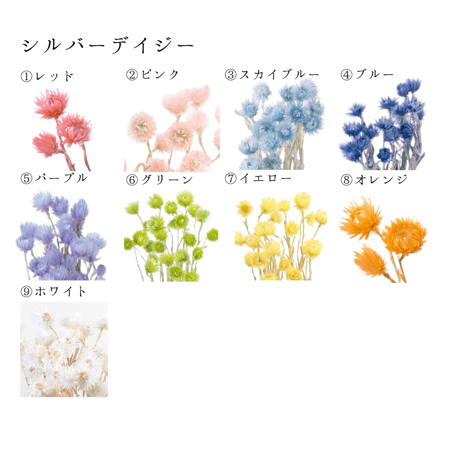 62a062bfc359a87033be4faf