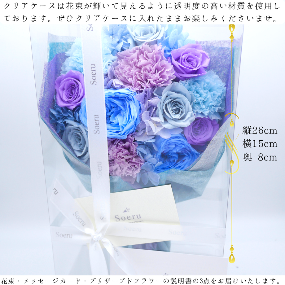 62a0cc1c288b802ed20303e3
