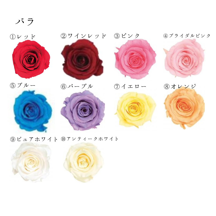 62a062bfc359a87033be4faf