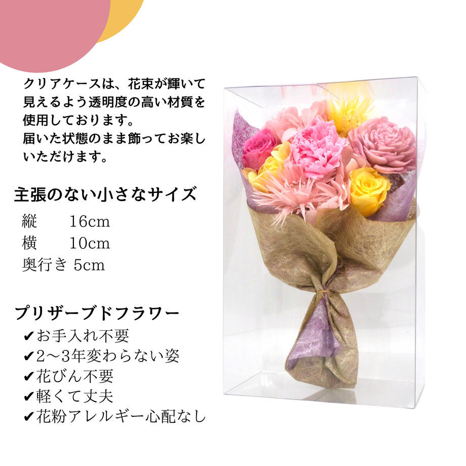 62052e87c15c5a04e9e205dd