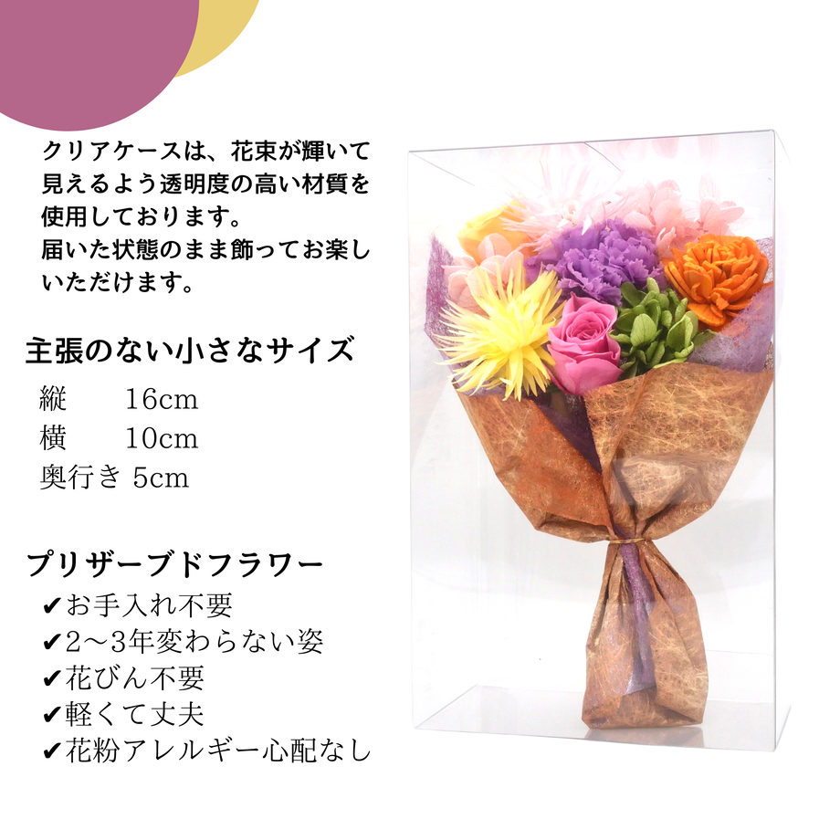 62052f2fe3bbd1414869eaf7