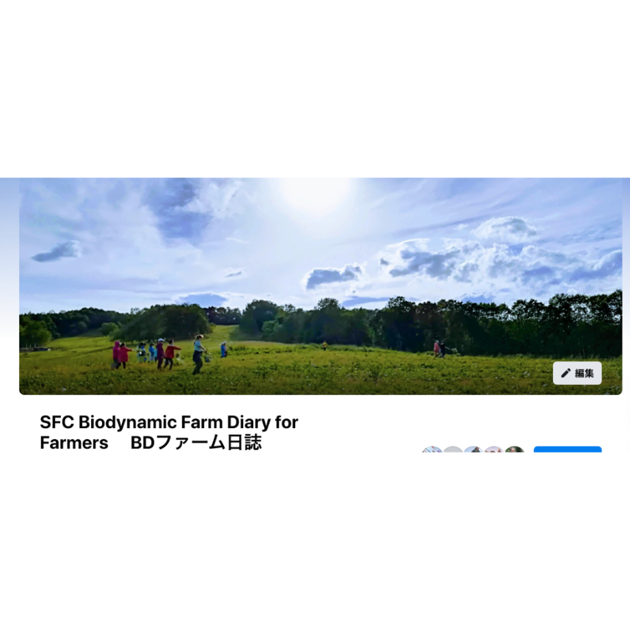 60517cc29dbfee105a7d24fa