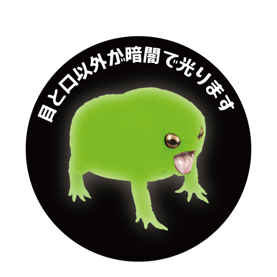 62165f9e72c5de5ff5057b3c