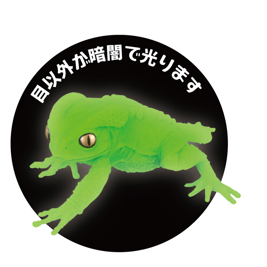 62165f9e72c5de5ff5057b3c
