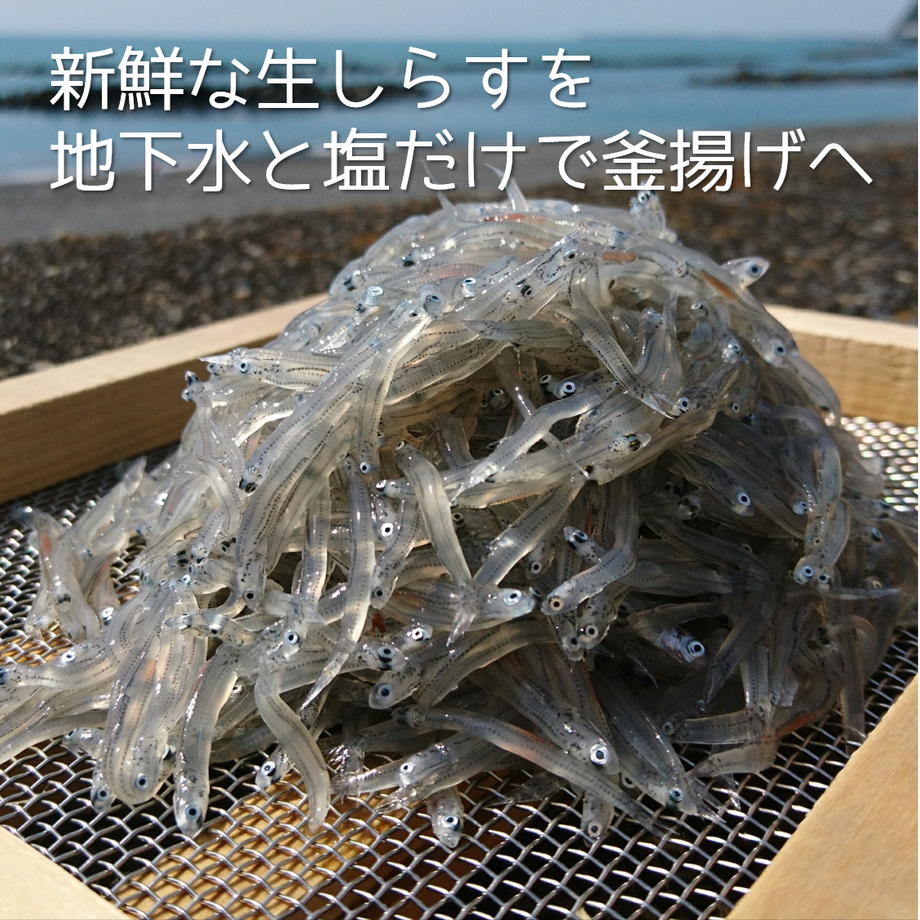 5ff56c6f72eb4646140d16e4