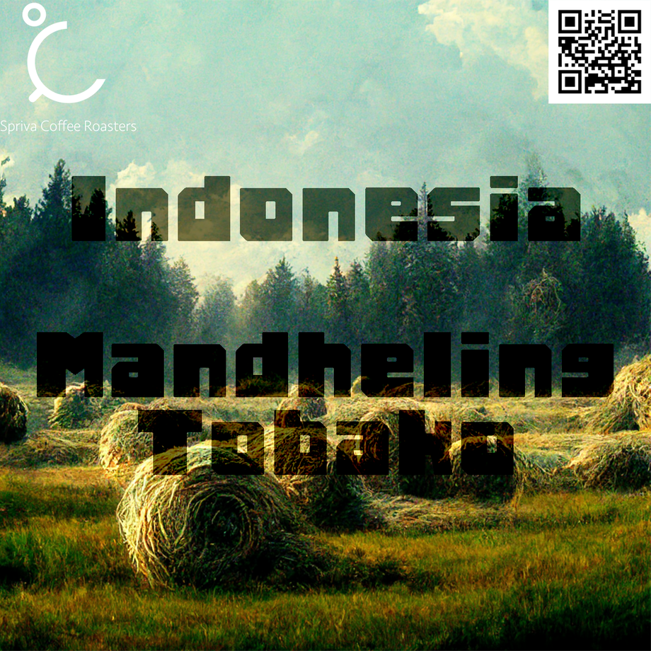 5ea03c6d72b91155a1df24a9