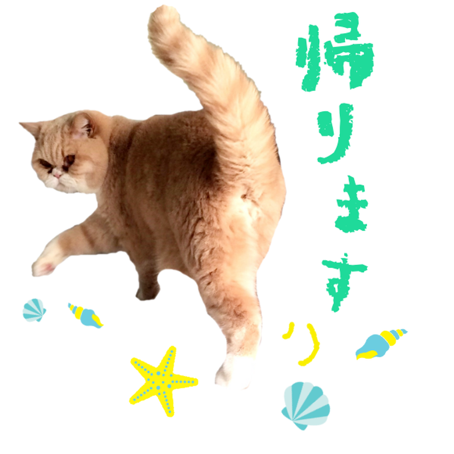 5d34972b3a7e964e5ed24f41