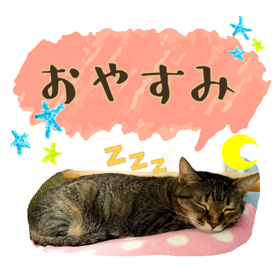 5d4a80f32e89b739d6d53f5d