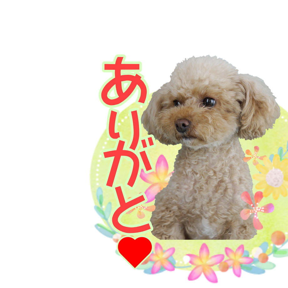 5d34994b66d86c0baa7e7efc