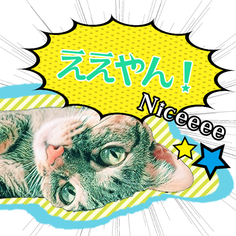 5d4a801c0838290b1de9ed5b
