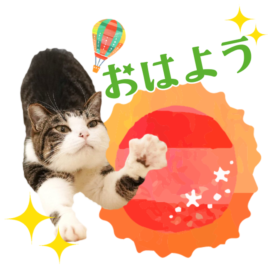 5d3499d82e89b7350668fdd4