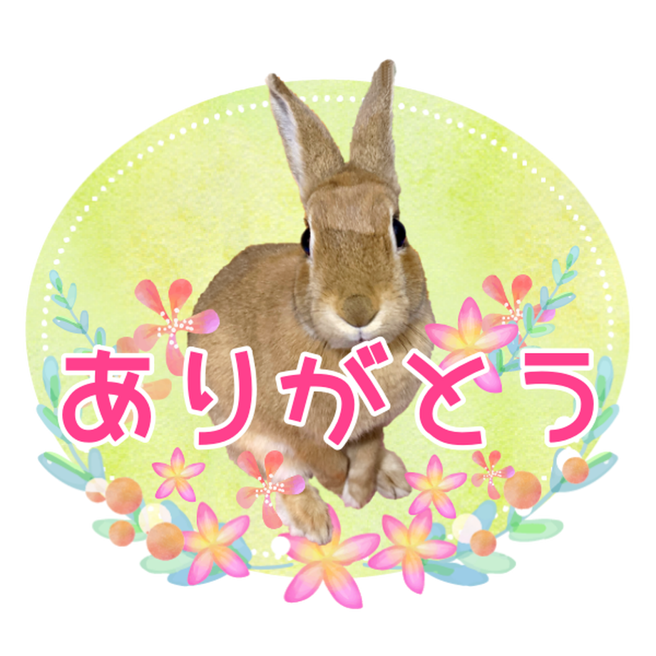 5d34994b66d86c0baa7e7efc