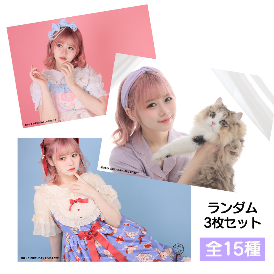 62a855a52bf9011310193ab8