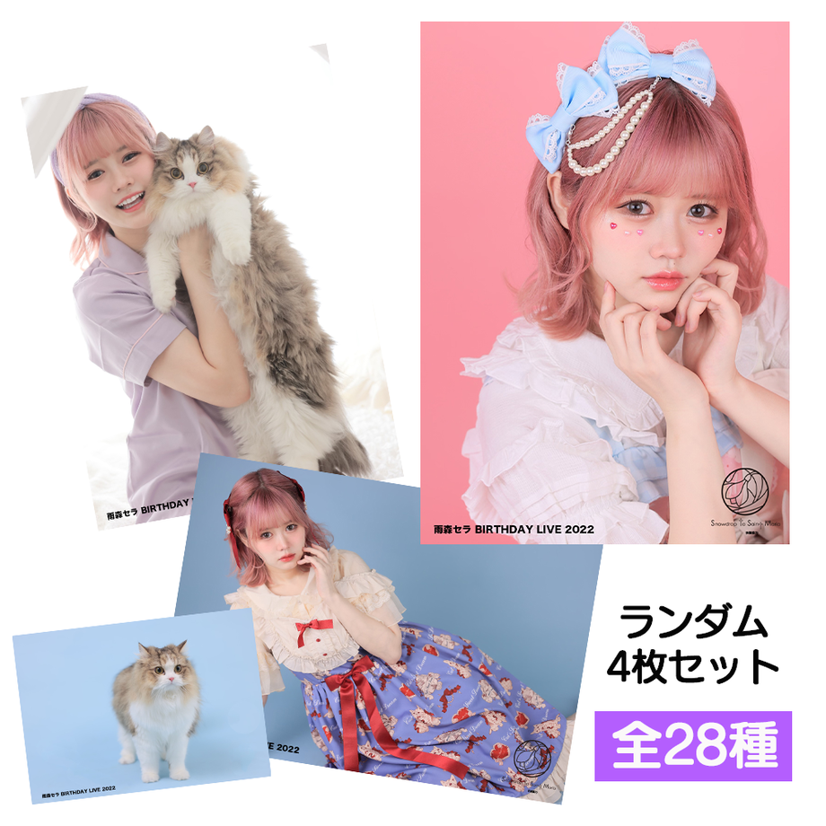 62a8553db1f1107ec6f7849c