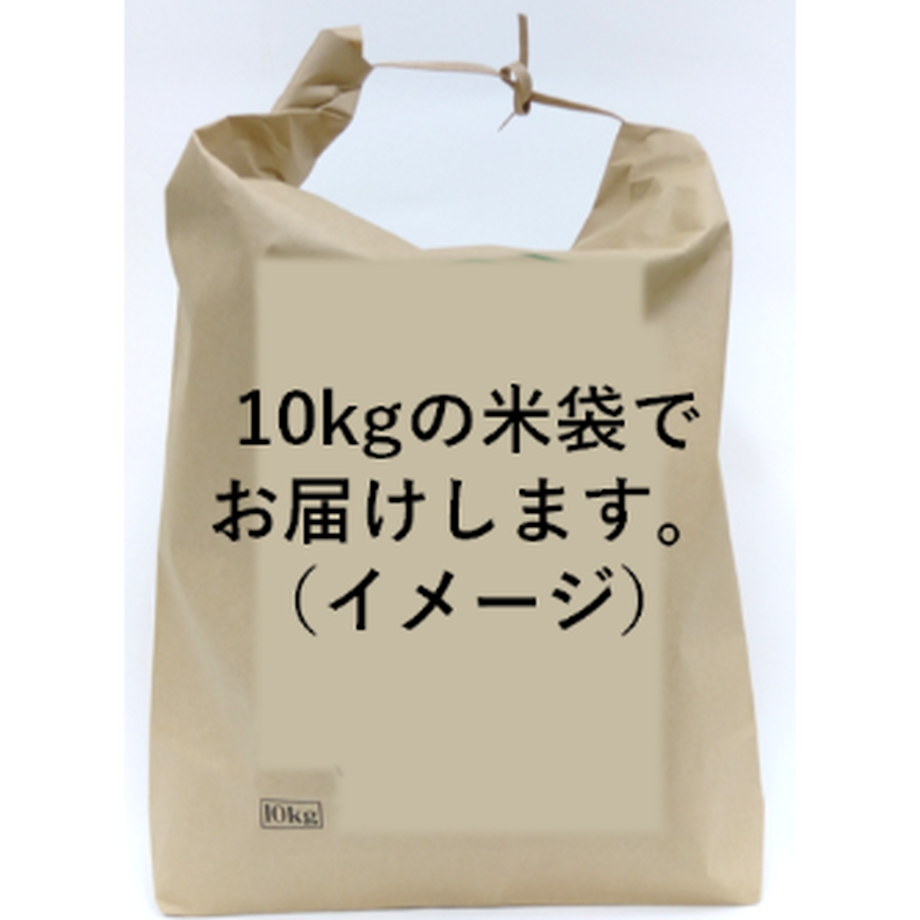 5fd409caf0b1087658f710b7