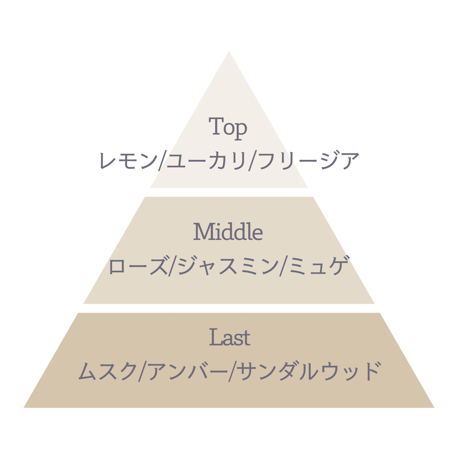 5e54a244c78a53681b9799f1