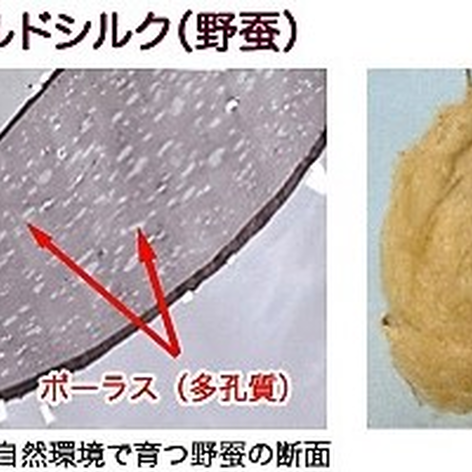 5c59a080aee1bb41ad358b45