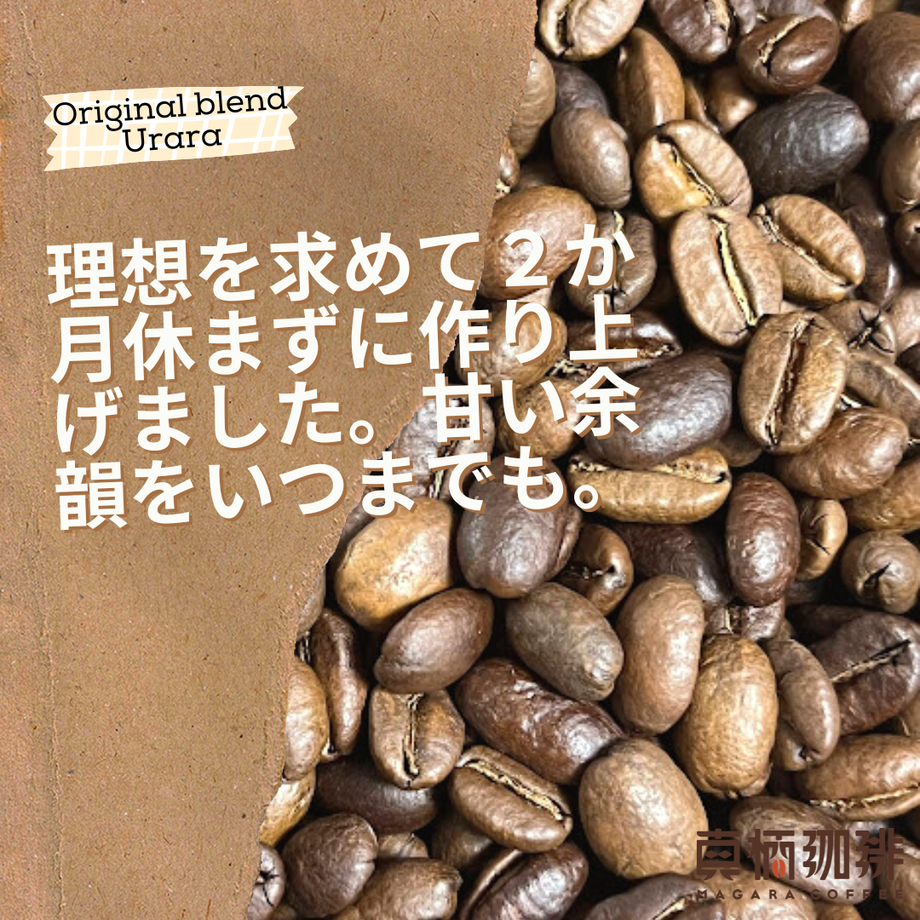 613c9f52e1fb4c23e56f37e2