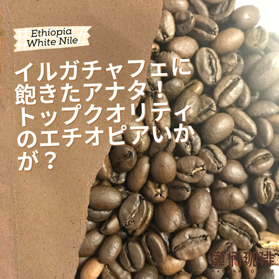 5e756c4e2a9a4244c4e0f25b