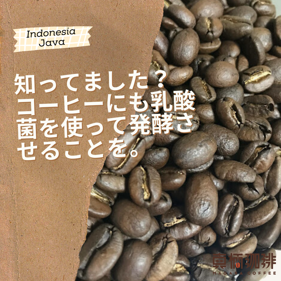 61c6ee76d26fa515b10c16e3