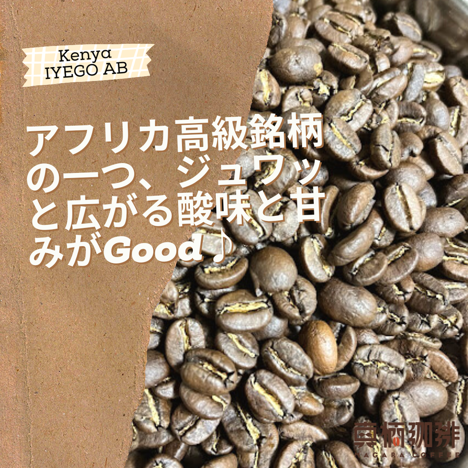 5e7571449df1631d910ab488