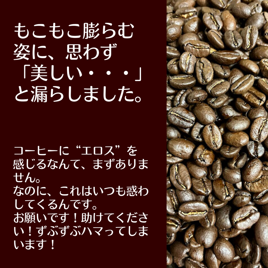 623e6fbc688c44313241345b
