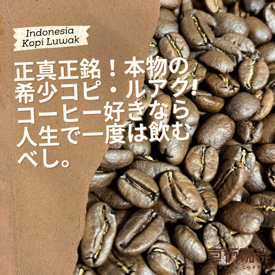 62ba906597056529a5e3b754