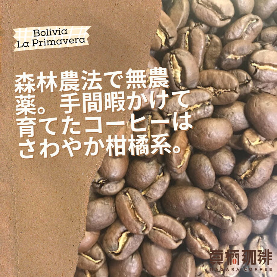 620639531dca3261df9fa093
