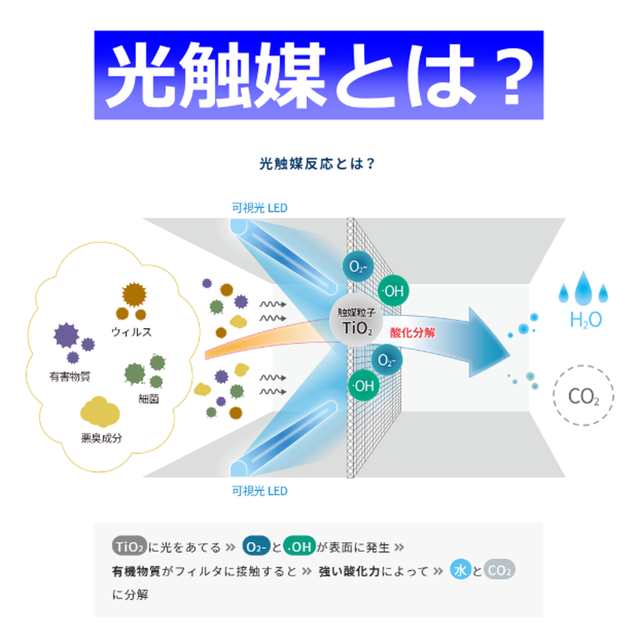 6188a64e6b6d194599036cb6