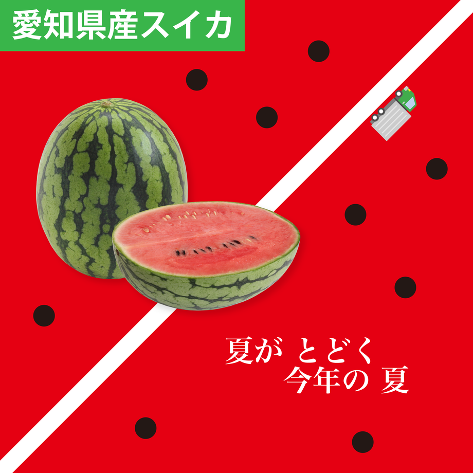 60b4987050a48a3f916c509a
