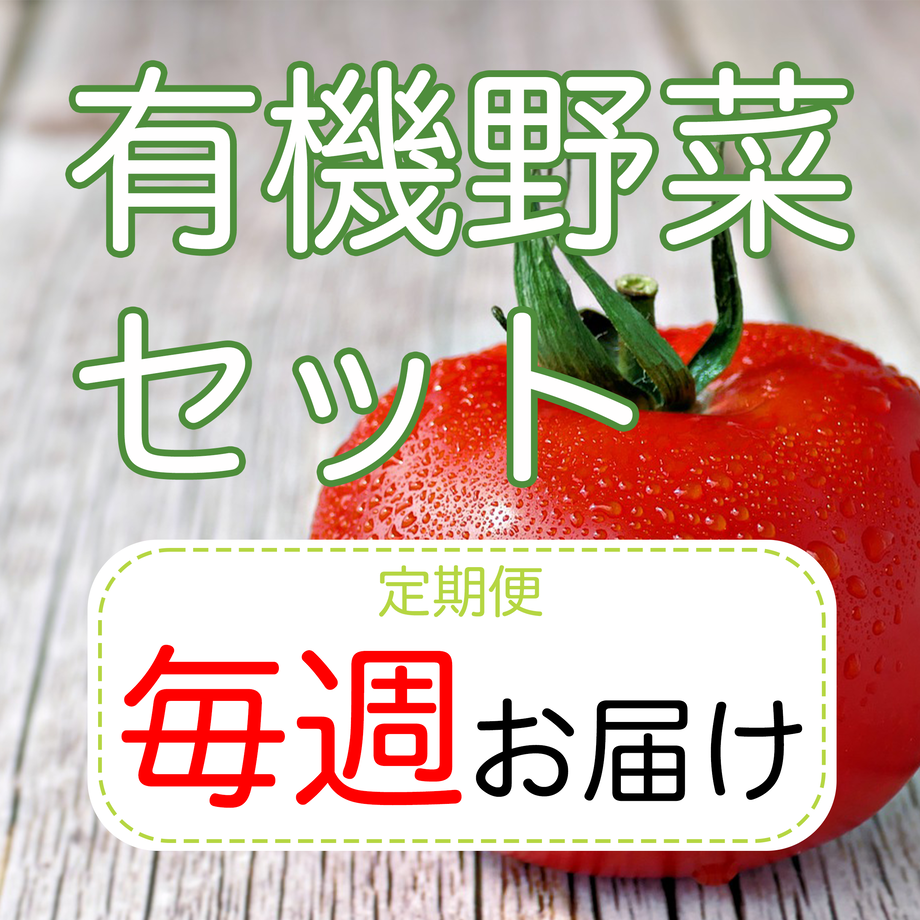 62188e2572c5de485d5f4c82