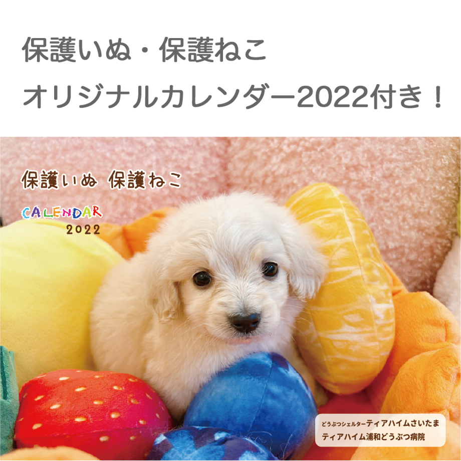 61cf2c2bc15c5a7920536b7b