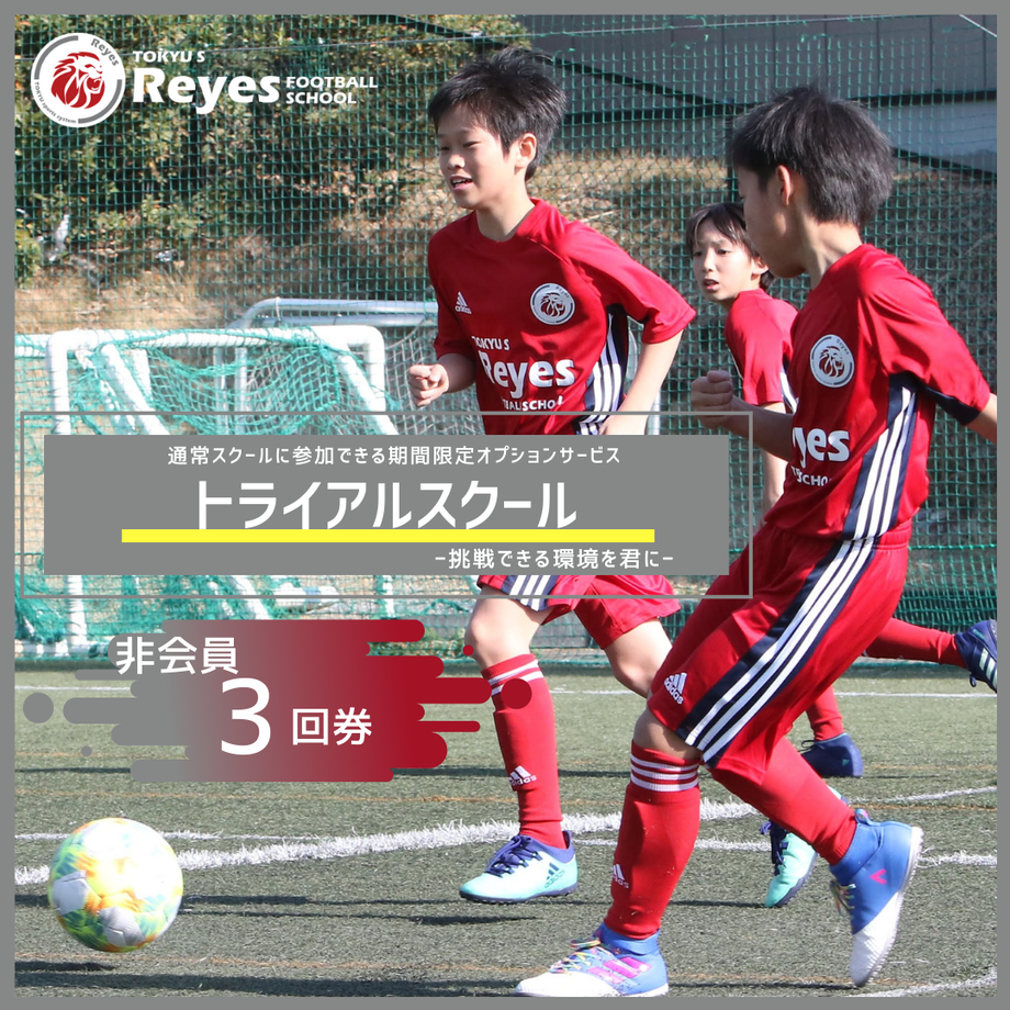 5fb7d6158a45721d87db7525