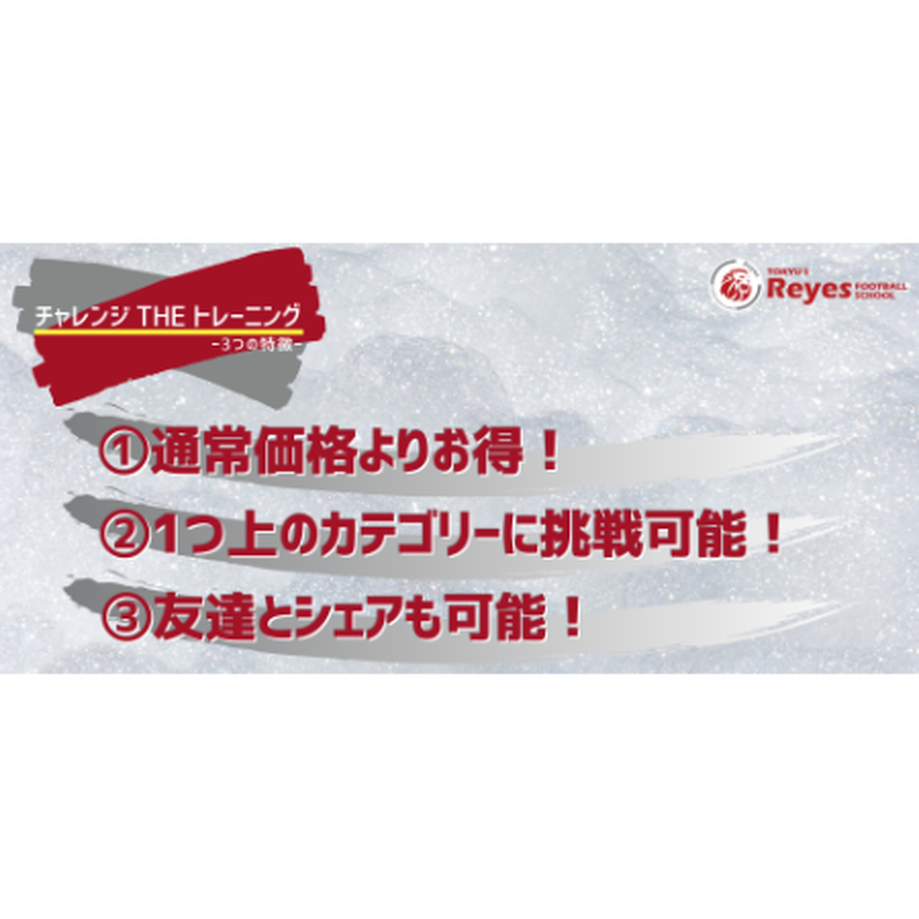 5ed608d6cee9ea5ceedd5393