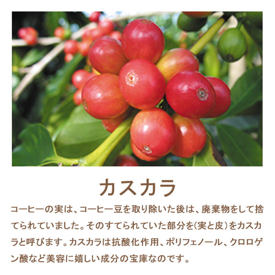 5ef581deb5a4254f582c83a4