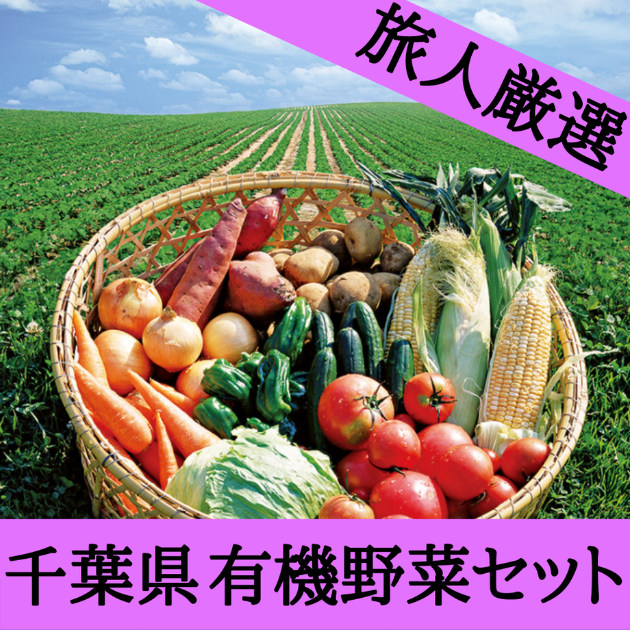 61f91e57e3bbd11bf0003017