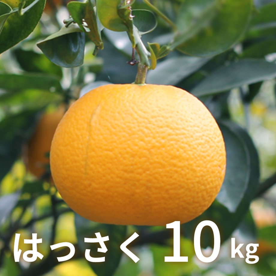 5a83c3b13210d535ed000bf9