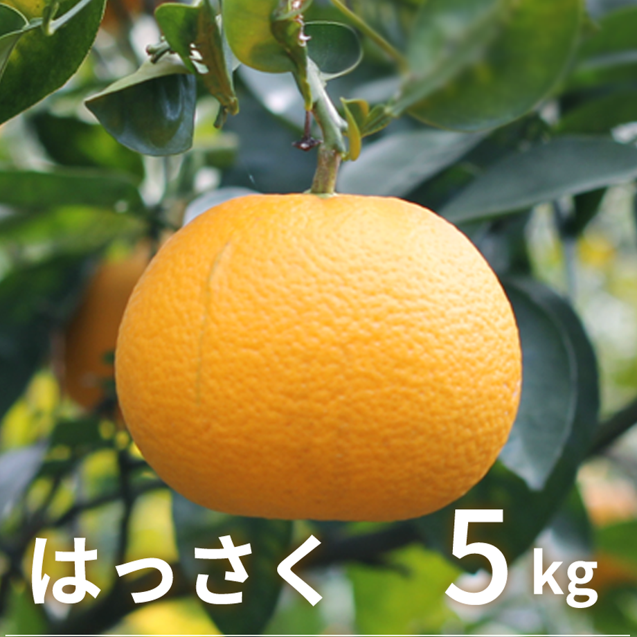 5a83c42d27d1cc04de000a13