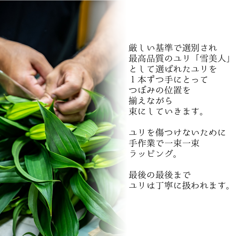 631ae9fe4ba8b418e37eacd1