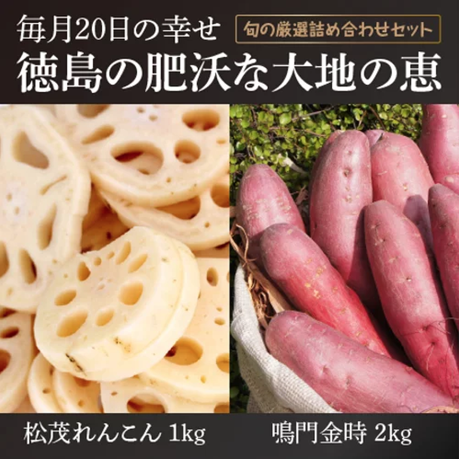 5fbc568872eb4657de3ed494